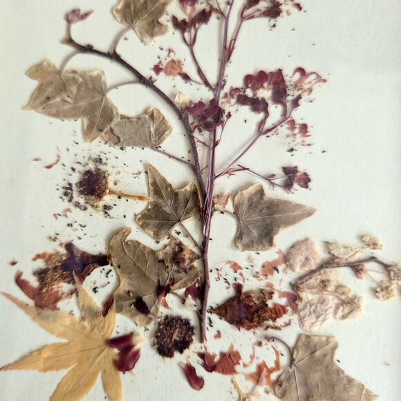 Set of 2 handmade pressed flowers arrangement art. - Picture 3 of 5